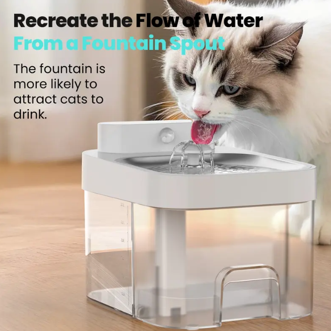 Smart Wi-Fi Cat Water Fountain | 5000mAh Battery, APP Control & Auto Dispenser – Clean & Waste Water Separated
